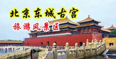 免费曰日逼视频高清免费中国北京-东城古宫旅游风景区